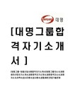 대명그룹-대졸신입사원합격자기소개서 대명그룹자소서 대명레저산업자기소개서 대명합격자기소개서 대명합격자소서 대명자소서 이력서...