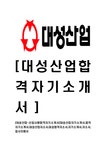 대성산업-신입사원합격자기소개서 대성산업자기소개서 합격자기소개서 대성산업자소서 대성합격자소서 자기소개서 자소서 입사지원서... 