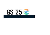 GS25 마케팅분석 - 경제경영 GS25 마케팅분석 대학레포트 경제경영