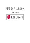 (주)LG화학 재무분석(재무비율분석) - 경제경영 (주)LG화학 재무분석(재무비율분석)
