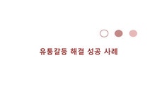 유통갈등해결 성공사례 수평적갈등사례 수직적갈등사례 유통갈등 - 경제경영 유통갈등해결 성공사례 수평적갈등사례 수직적갈등사례 유통갈등... 