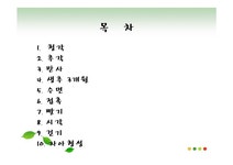 간호학 성장과 발달 태어나서 1년 동안 조사 세상을 향한 첫 걸음 - 의약학 간호학  성장과 발달 태어나서 1년 동안 조사  세상을 향한 첫 걸음... 