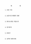 전략경영론 (주)엔라인 시스템 경영분석 - 경제경영 전략경영론 (주)엔라인 시스템 경영분석 대학레포트 경제경영