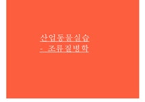 산업동물실습 조류질병학 - 동물 실습 - 조류 질병 조류 질병 원인 조류 부검 조류 질병 진단 조류 질병 검사 - 사회과학 산업동물실습  조류질병학... 
