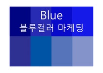 Blue 블루컬러 마케팅 - 경제경영 Blue 블루컬러 마케팅 대학레포트 경제경영