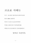 발칸유럽 코소보사태에 대해서 - 사회과학 발칸유럽  코소보사태에 대해서 대학레포트 사회과학