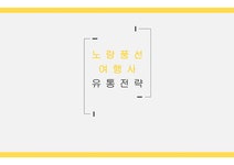 노랑풍선 여행사 유통전략 - 경제경영 노랑풍선 여행사 유통전략 대학레포트 경제경영