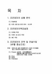 마케팅 딩크족 마케팅전략 - 경제경영 마케팅  딩크족 마케팅전략