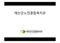 예산군노인종합복지관 - 사회과학 예산군노인종합복지관 대학레포트 사회과학