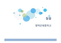 평택은혜중학교 실습 - 사회과학 평택은혜중학교 실습 대학레포트 사회과학