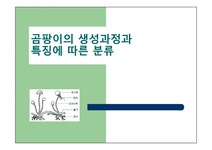 곰팡이의 생성과정과 특징에 따른 분류 - 자연/공학 곰팡이의 생성과정과 특징에 따른 분류 대학레포트 자연/공학