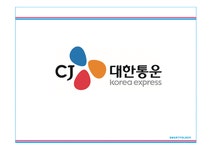 CJ대한통운 기업보고서 - 경제경영 CJ대한통운 기업보고서 대학레포트 경제경영