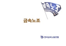 전국금속 노동조합의 현황과 과제 - 경제경영 전국금속 노동조합의 현황과 과제 대학레포트 경제경영