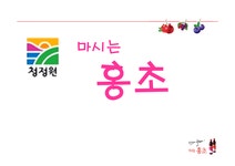 마시는 홍초 레포트 - 경제경영 마시는 홍초 레포트