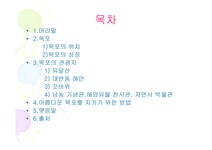 예향의 도시 목포 - 자연/공학 예향의 도시 목포 대학레포트 자연/공학