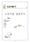 노동조합 설문조사 민주노총&한국노총 - 사회과학 노동조합 설문조사 민주노총&한국노총 대학레포트 사회과학