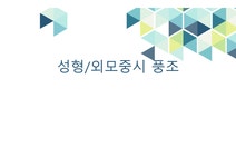 성형 외모 중시 풍조2 - 사회과학 성형 외모 중시 풍조2 대학레포트 사회과학