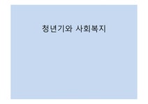 인간 행동과 사회환경 청년기와 사회복지4 - 사회과학 인간 행동과 사회환경 청년기와 사회복지4 대학레포트 사회과학