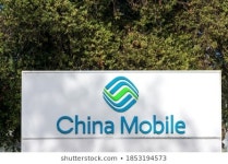 Limited Mobility Images, Stock Photos & Vectors | Shutterstock