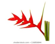   Number Seven 7 Logo Icon Template 스톡 벡터(사용료 없음) 650054404 - Shutterstock Number seven 7 logo icon template elements