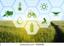 Precise Images, Stock Photos & Vectors | Shutterstock