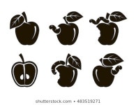 Rotten apple 이미지, 스톡 사진 및 벡터 | Shutterstock