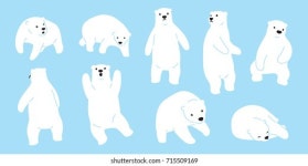 POLAR BEAR 이미지, 스톡 사진 및 벡터 | Shutterstock