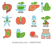 24,049 Detox icon 이미지, 스톡 사진 및 벡터 | Shutterstock