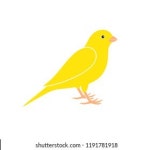 Canary Vector Art, Icons, and Graphics for Free Download