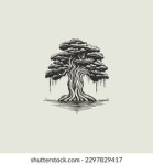 Cypress Tree PNGs for Free Download