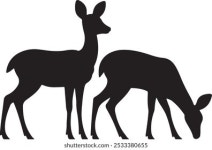 Cute deer standing on white background 370026 Vector Art at Vecteezy Download Cute deer standing on white background for free