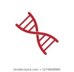 117,102 Life science icon 이미지, 스톡 사진 및 벡터 | Shutterstock
