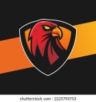 Hawk Head PNGs for Free Download