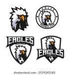 An eagle angry animal sports mascot holding an football or soccer logo 19167065 Vector Art at Vecteezy Download An eagle angry... 