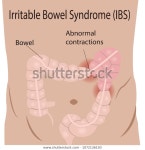 큰 장의 벡터 삽화에 나오는 과민성 스톡 벡터(로열티 프리) 1072136150