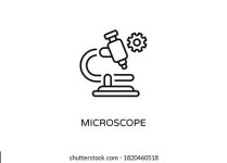 39,877 Microscope magnify 이미지, 스톡 사진 및 벡터 | Shutterstock