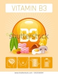 Nicotinic Acid Vitamin B3 Rich Food 스톡 벡터(로열티 프리) 1012516354