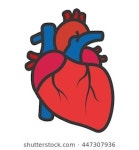 Cute Set Hand Drawn Vector Haerts 스톡 벡터(로열티 프리) 272756468 | Shutterstock