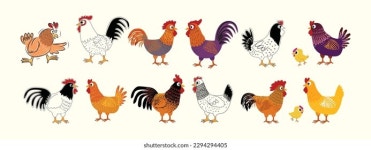 Page 10 | Chicken SVGs for Free Download