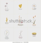 Set Logos Rustic Style Herbs Berries 스톡 벡터(로열티 프리) 393443962