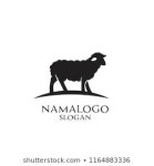  Vector Isolated Sheep Illustration 스톡 벡터(사용료 없음) 1261736944 - Shutterstock vector isolated sheep illustration