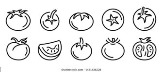 TOMATOES 이미지, 스톡 사진 및 벡터 | Shutterstock