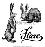 Wild Hares Rabbits Sits Stands On 스톡 벡터(로열티 프리) 1670159860