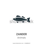 Zander Vector Icon On White Background 스톡 벡터(로열티 프리) 1536896129
