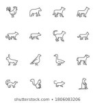 365 Skunk outlined 이미지, 스톡 사진 및 벡터 | Shutterstock