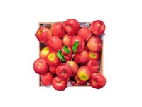 PRINT BAKERY-윤병락, 가을향기 26 - Half size│삼성물산 온라인몰 SSF Shop 윤병락, 가을향기 26 - Half size