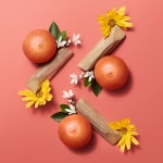 에르메지스티블 인퓨즈드 립 케어 오일 컬러 앤 센트 02 꼬라이유 비가라드 - S.I.VILLAGE [HERMÈS]에르메지스티블 인퓨즈드 립 케어 오일... 