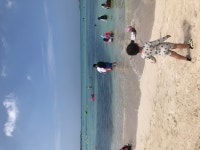 상상에너지 702005 : 다나와 가격비교 [다나와] 조이멀티 하와이 유아 아쿠아슈즈 3종 9세 기분좋은 상상에너지 702005