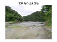 宮城県の沿岸部における震災後の野生植物の現状 | PDF 宮城県の沿岸部における震災後の野生植物の現状