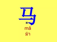 我喜欢的动物1 | PPT 我喜欢的动物1